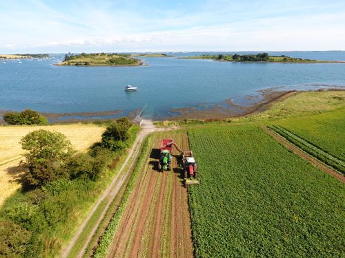 Mash Direct - Family Farm in County Down, Northern Ireland